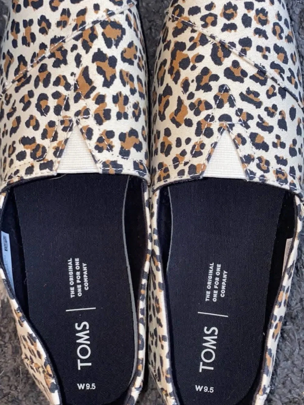 Toms Women's Classic Slip-On in Leopard Print Brown & Black